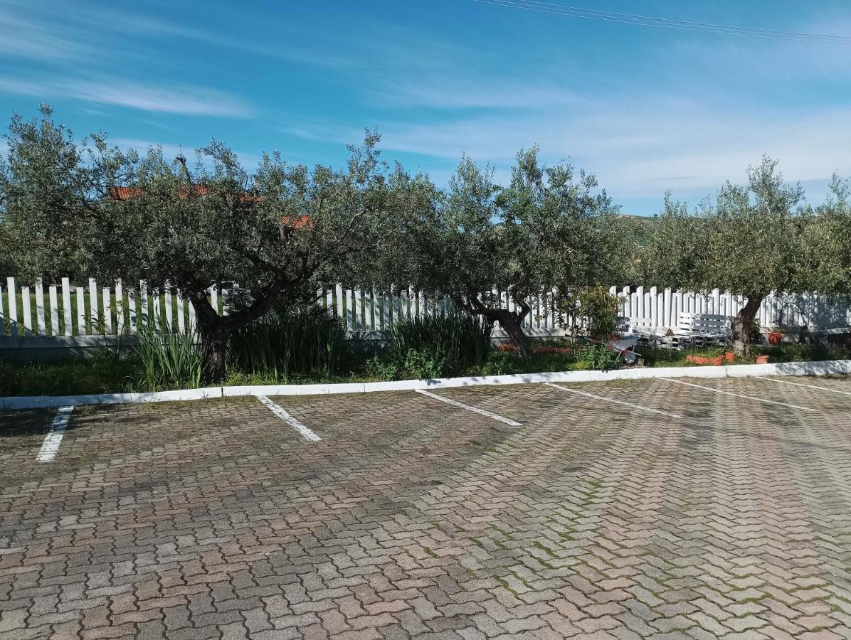 Colline Del Sole Bed & Breakfast Сан Салво Екстериор снимка